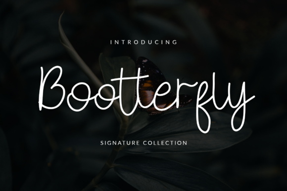 Bootterfly: The Modern Script Font for Scroll-Stopping Campaigns