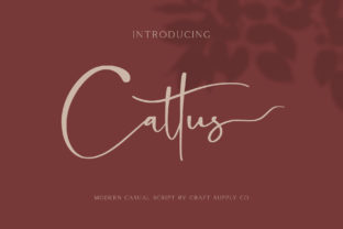 Cattus: The Modern Script Typeface for Contemporary Branding