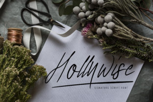 Hollywise: The Hand-Crafted Script Font for Digital Art