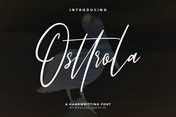 Osttrola: The Modern Script Handwritten Font for Makers