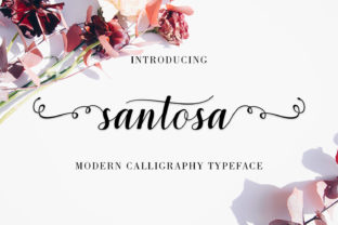 Santosa Font: A Creative Typeface for Standout Campaigns